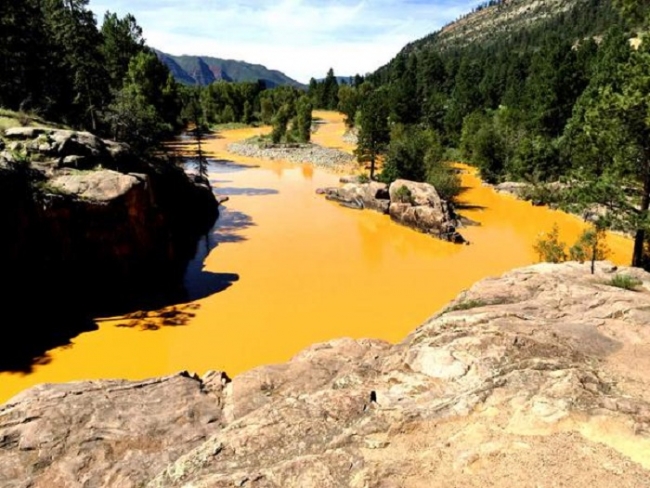 Animas River