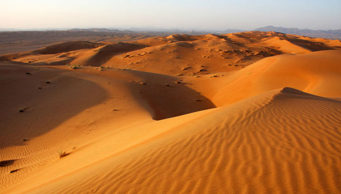 The Wahiba Sands is 12,500 square kilometres of desert