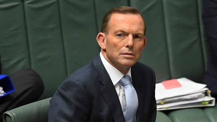 Turbulent week for Tony Abbott      
        
            
    
               Show Grid