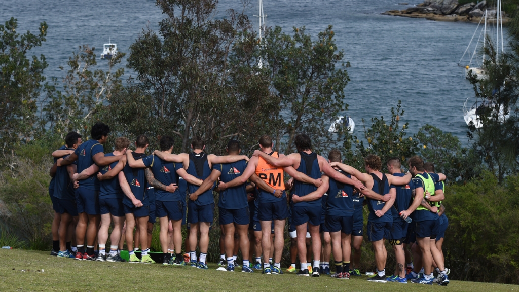 Wallabies coach Michael Cheika has consulted his predecessors about success at the Rugby World Cup