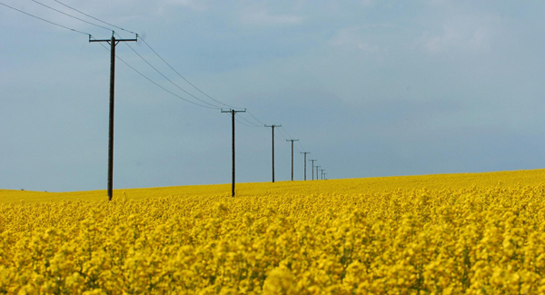 Off-road trials for UK 'electric highways' due later this year