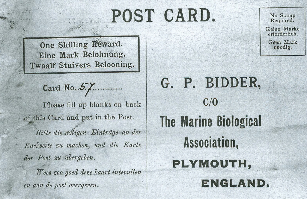 Marine Biological Association of the UK via