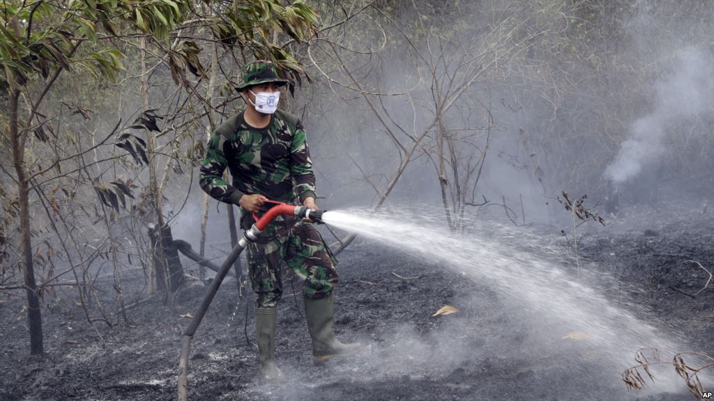 A member of the military works to contain a wildfire on a field in Indralaya South Sumatra Indonesia Sept. 16 2015