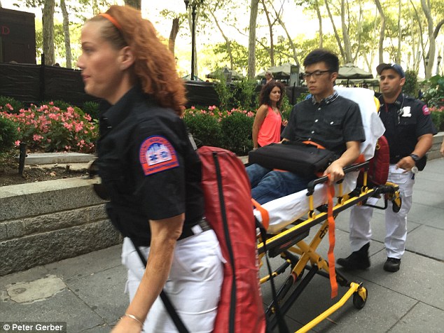 A tree crashed down in popular Bryant Park in the middle of bustling Manhattan on Friday- five people were injured