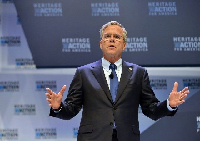 Jeb Bush