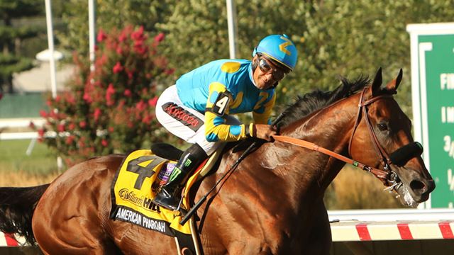 American Pharoah still a star after defeat