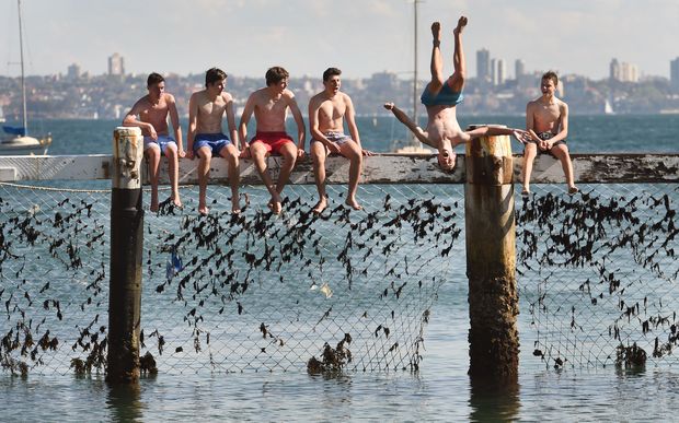 Children play on a shark net at Little Manly Cove Sydney as shark experts gather at a summit to assess technologies to counter attacks