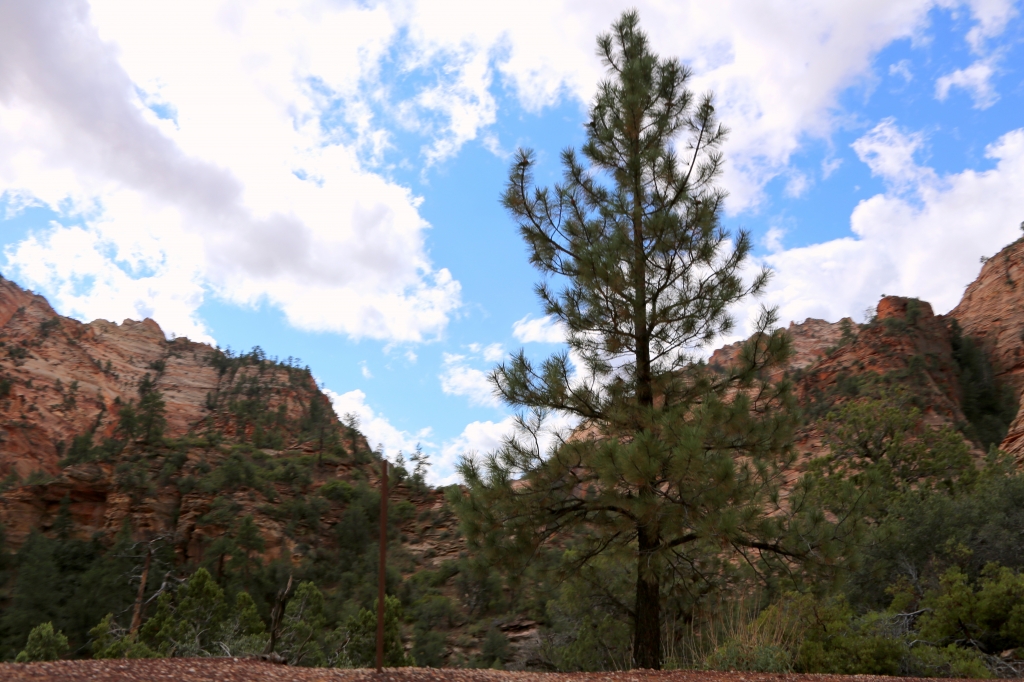 3 dead, 4 missing in Zion National Park after flash flooding