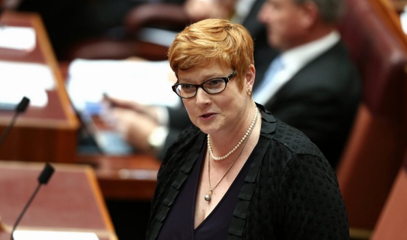 Defence Minister Marise Payne will have to hit the ground running as a new defence white paper is due next month