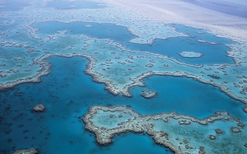 UNESCO Has Dealt The Great Barrier Reef Another Bleak Report