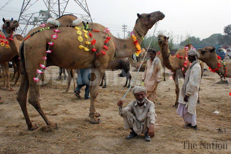 Eid-ul-Adha celebrated in India