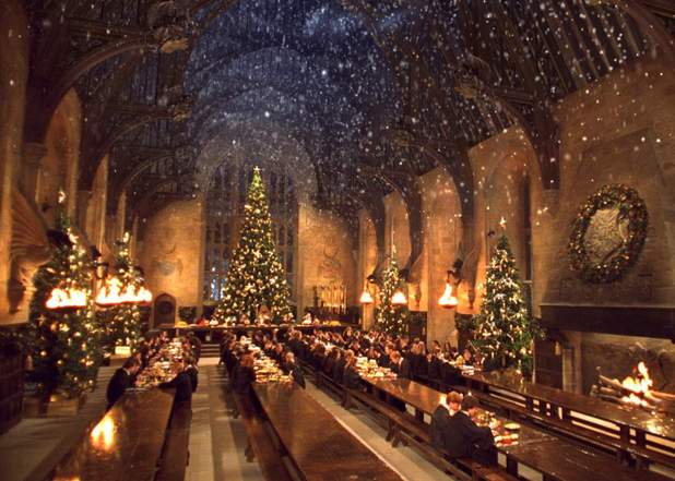 Your Harry Potter dreams have come true dinner in the Hogwarts Great Hall is happening