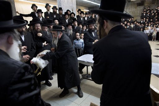 Ultra-Orthodox Jews of the Dorog Hassidic sect gather around a butcher just before he slaughters a chicken as part of the Kaparot ritual in which it is believed that one transfers one's sins from the past year into the chicken in the Ultra-Orthodox