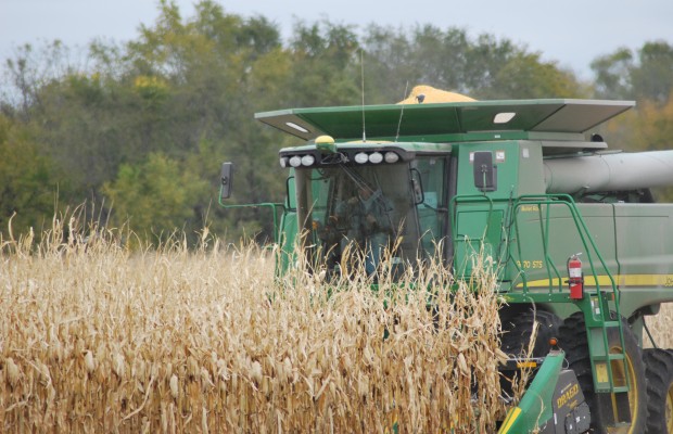 Harvest Progressing with Optimistic Outlook