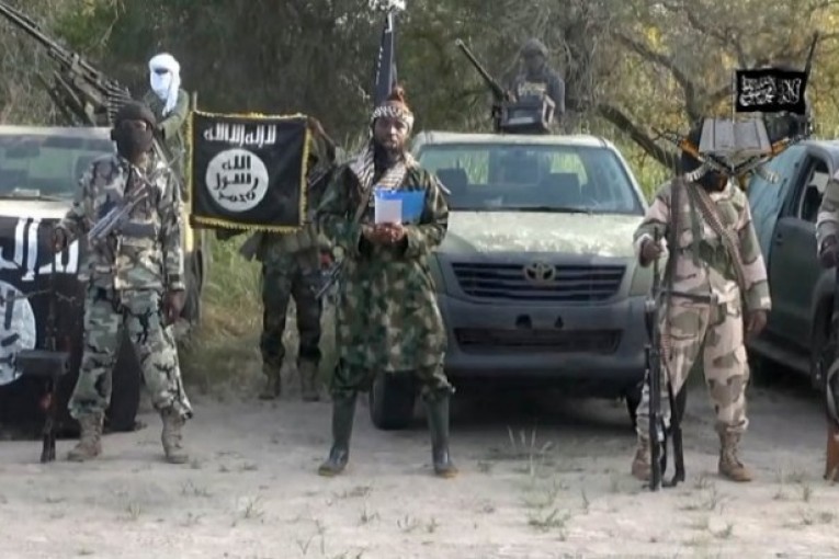 Cameroon army kills 11 Boko Haram militants: spokesperson