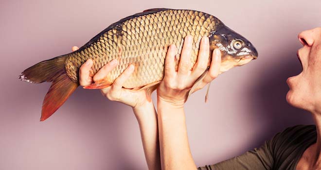 Fish At Local Markets Contain Man Made Debris- Clapway