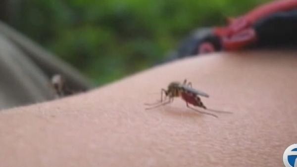 Five cases of West Nile virus are being reported in humans in Michigan