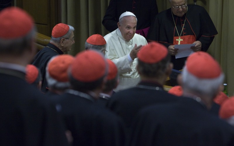 Pope Francis's nominations for the synod have been revealed