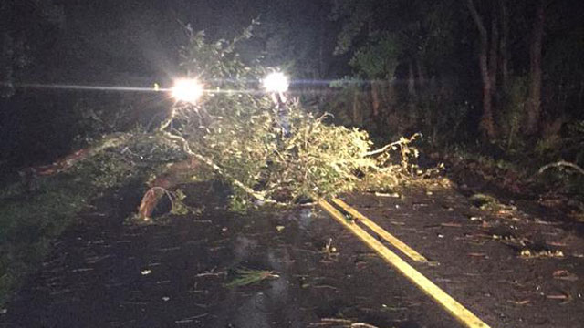 A storm tore through Charleston South Carolina early Friday morning