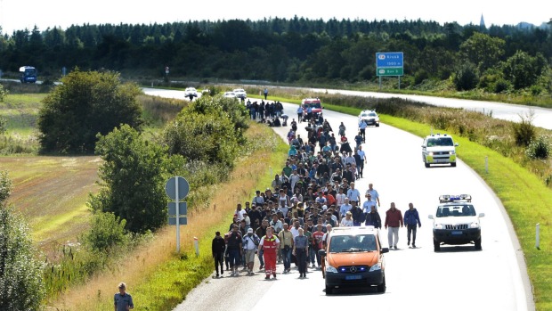 Refugees walk on the E45 freeway at Padborg Denmark shutting down the highway while trying to head to Sweden