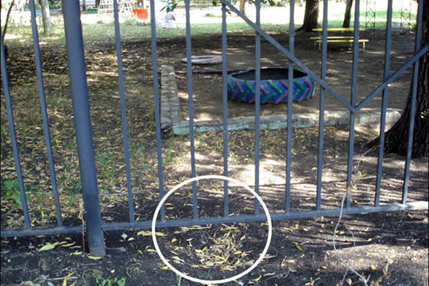 A general view of a playground in Russia