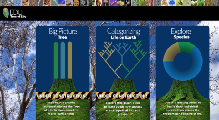 Tree of Life for 2.3 Million Species of Animals, Plants, Fungi and Microbes