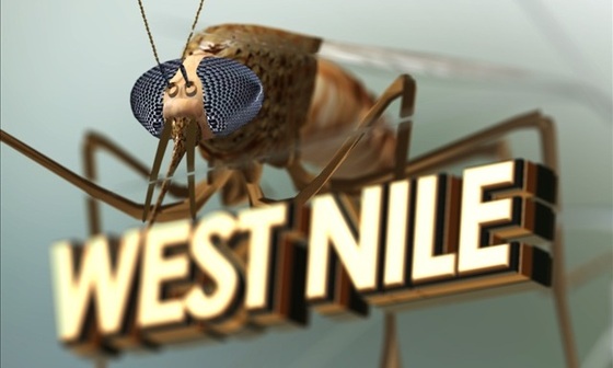 2 Columbus Men Diagnosed With West Nile Virus story image