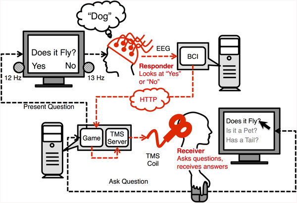 Stocco et al PLOS ONE 2015 Figure 1