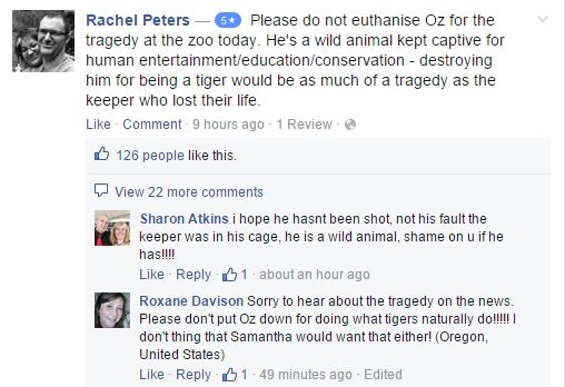 New Zealand: Tiger Mauls Zookeeper To Death In Hamilton Zoo