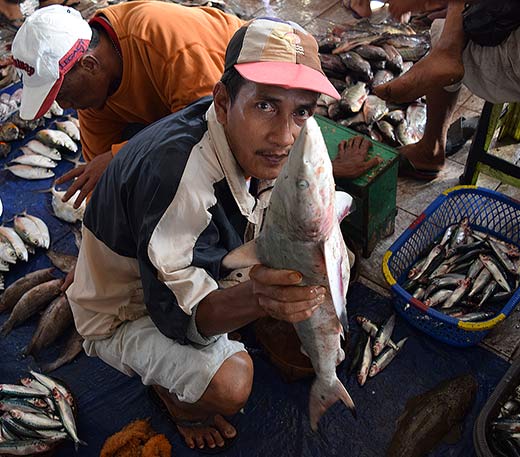 Man holding a big fish to the camera in a fish market with baskets of fish in the background