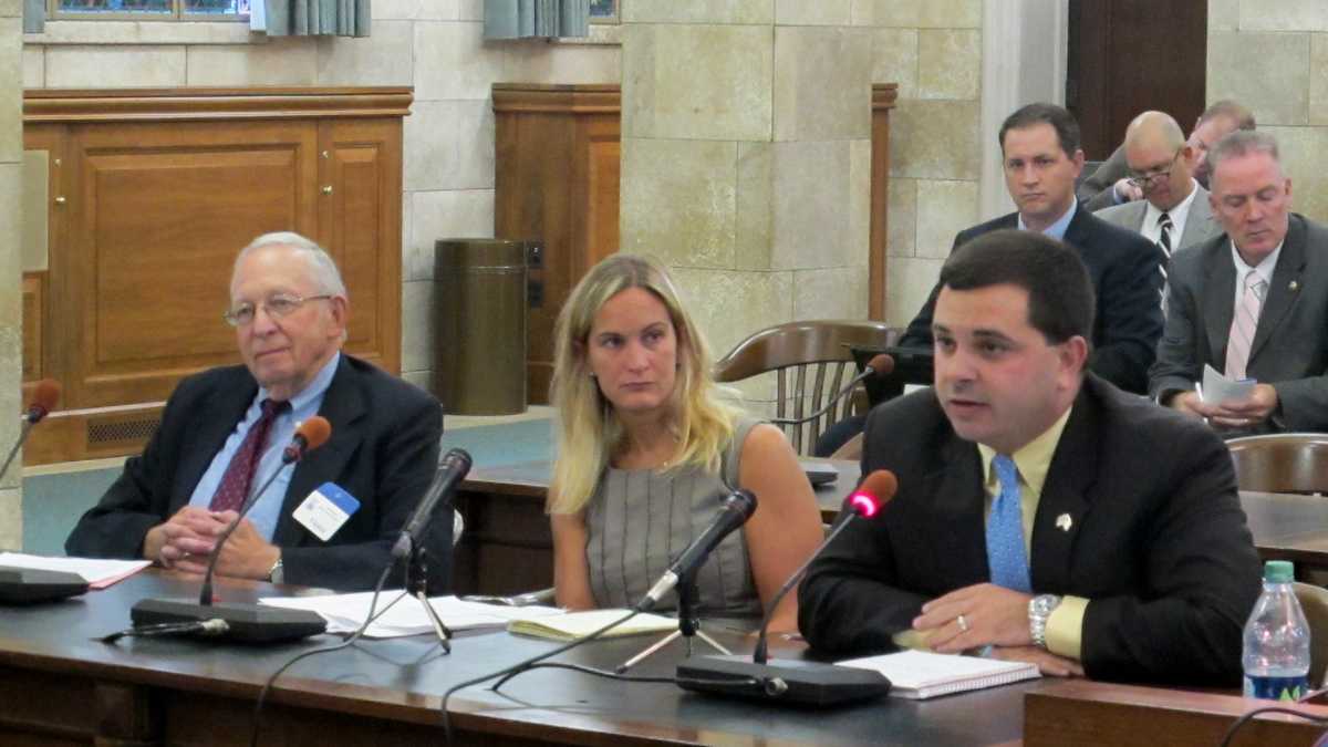 Transportation advocates testify at a Senate Legislative Oversight Committee hearing at the New Jersey Statehouse