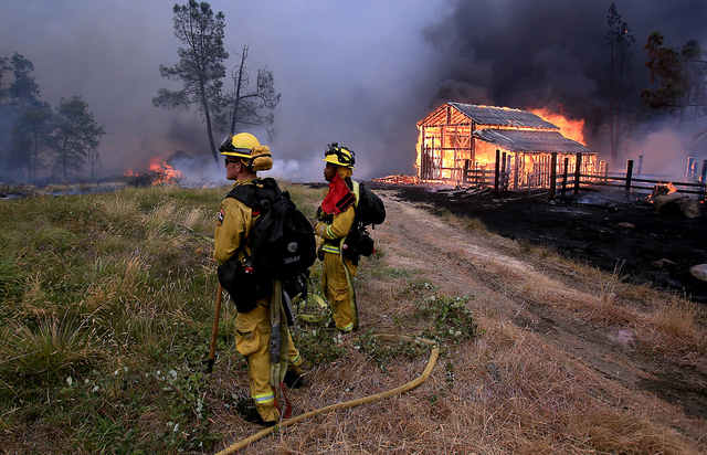 Firefighters watch as the flames of the Butte Fire approach a containment line near San Andreas Calif. Friday Sept. 11 2015