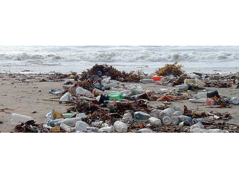 Thousands Head to Beach to Collect Tons of Trash for Coastal Cleanup Day