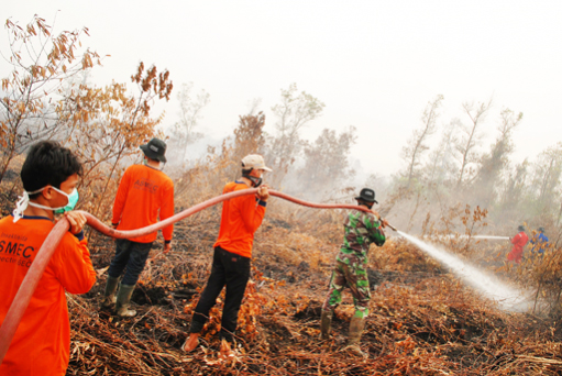 Teamwork Soldiers and volunteers help to put out a forest fire in Rimbo Panjang Kampar Riau on Tuesday. Riau and several other areas of Sumatra have been covered in haze due to forest fires