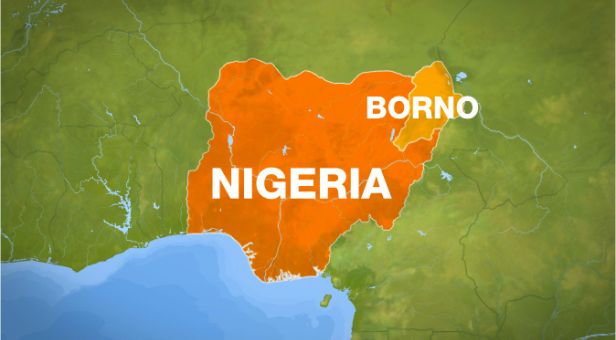 Multiple Explosions Kill 7 In Borno – Police