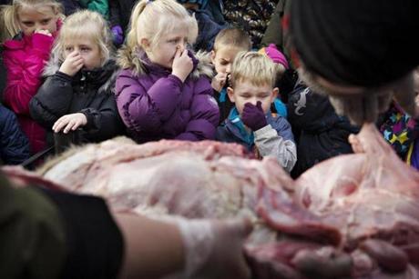 The lion dissection Thursday was deliberately scheduled to take place during school holidays. Zoo officials said the event was educational