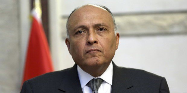 Russia’s intervention in Syria ‘confines terrorism: Egypt minister