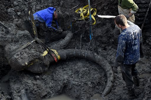 1 2015 University of Michigan professor Dan Fisher top left leads a team of Michigan students and volunteers as they excavate woolly mammoth bones found on a farm near Chelsea Mich. (Melanie Maxwell  The Ann Arbor Ne