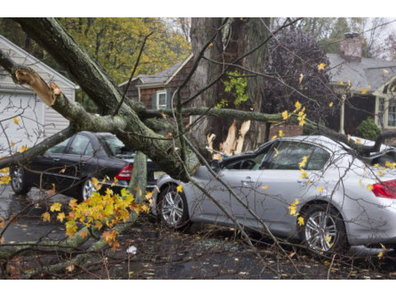 Hurricane Joaquin Causes Utilities To Request Help From Thousands Of Workers