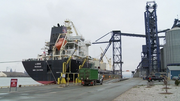 Hamilton's transition to away from a steel-dependent port has continued with the announcement of a new grain terminal