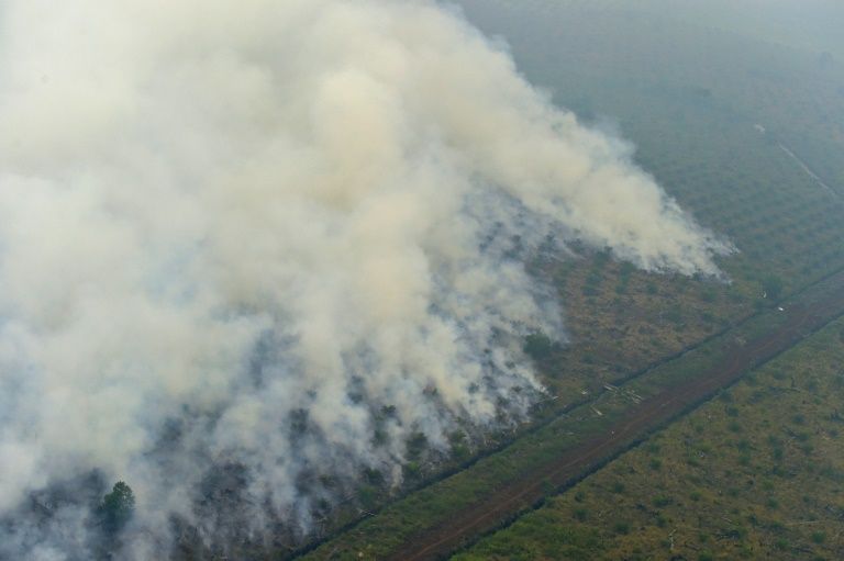 President Joko Widodo: We will solve the haze issue in 3 years