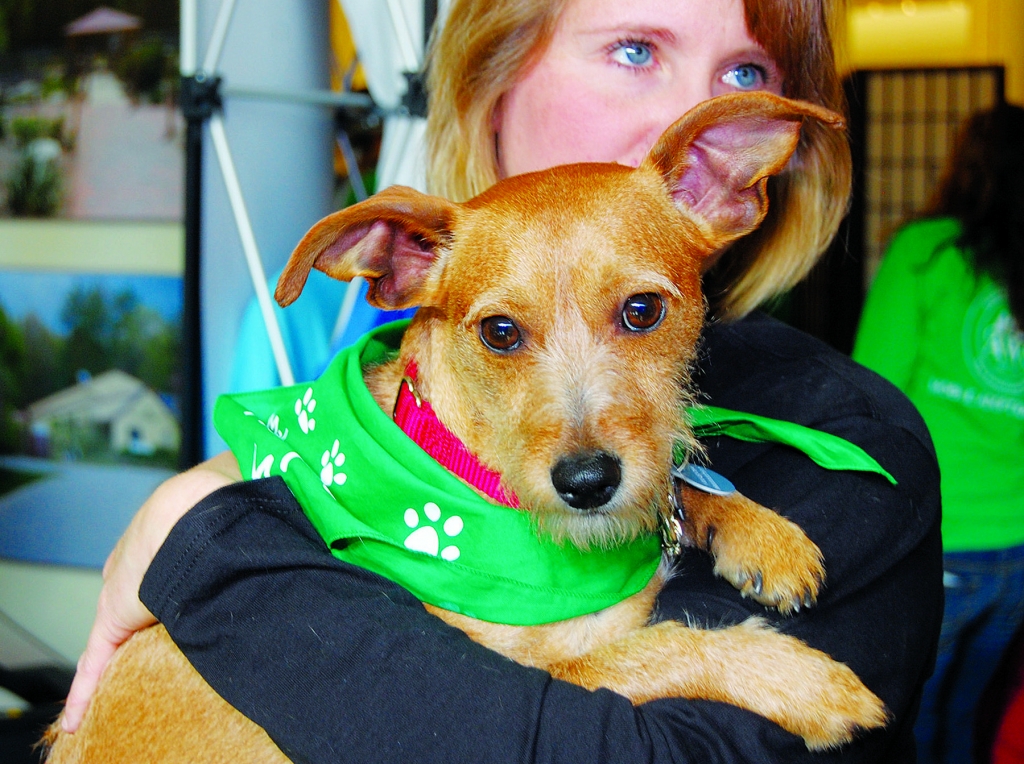 Oct. 10 blessing of the animals