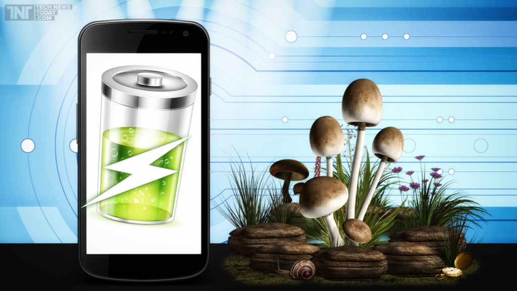 Mushrooms Powering Future Smart phones Can Improve Talk Time