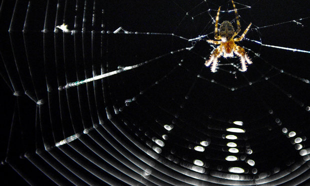 WATCH: The Moment A Woman Had A Spider And Its Web Removed From Her Ear