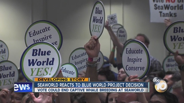 California Bans Captive Breeding of Killer Whales at SeaWorld