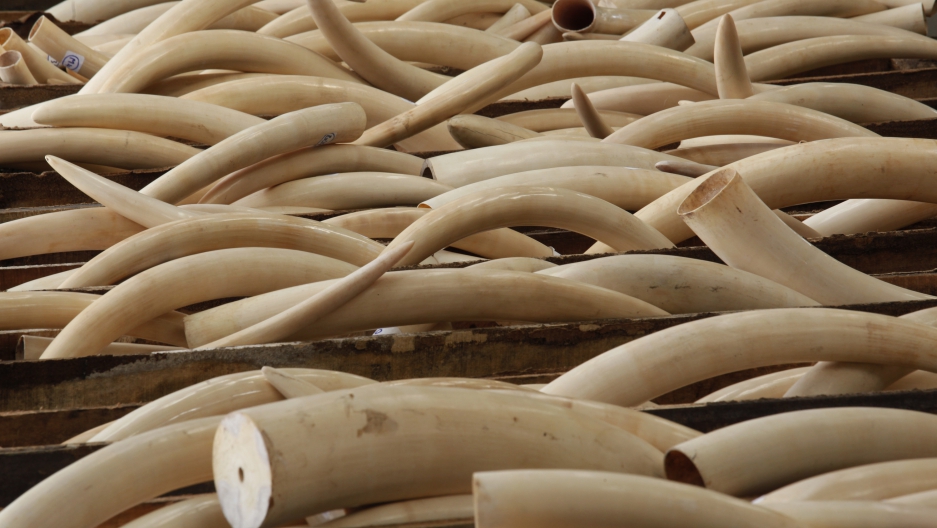 Tanzania nabs 'Ivory Queen' for smuggling