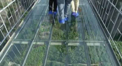 Video: Tourists attempt to cross China's first glass-bottomed suspension bridge