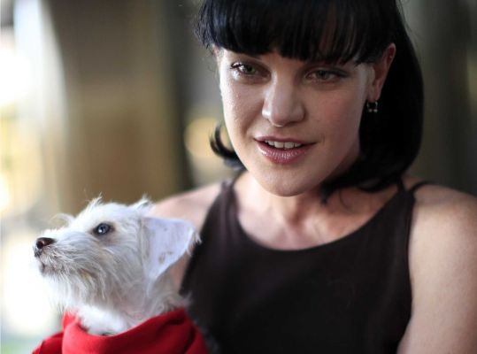 'NCIS' actress Pauley Perrette tweets she was assaulted by a man who said he