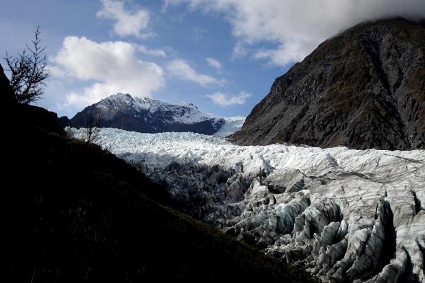 The Fox Glacier is a Unesco world heritage area that thousands visit each year
Tracey Nearmy