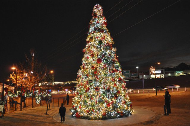 DALY: Choosing the perfect Christmas tree